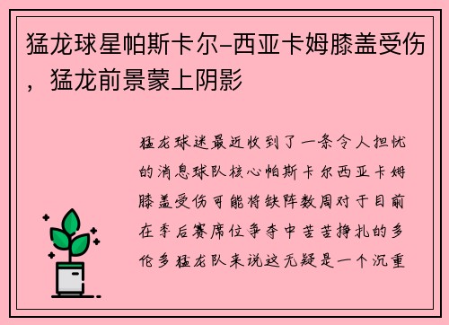 猛龙球星帕斯卡尔-西亚卡姆膝盖受伤，猛龙前景蒙上阴影